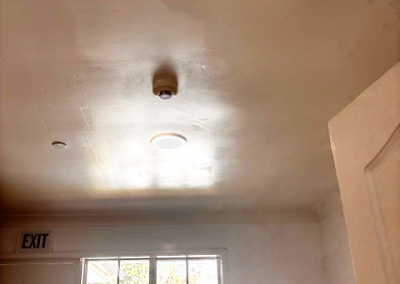 Ceiling Mold Removal – Goulburn
