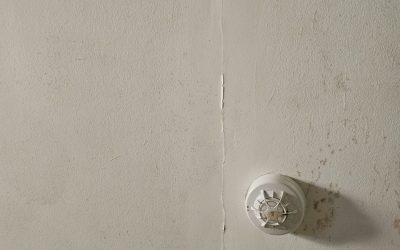 Leak Fix and Gutter Clearing for Commercial Property in Nowra Hill