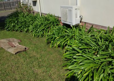 Garden Service – Moruya