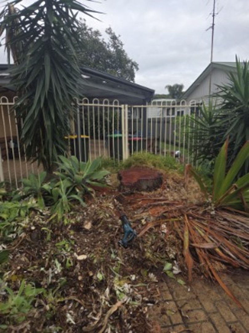Tree removal