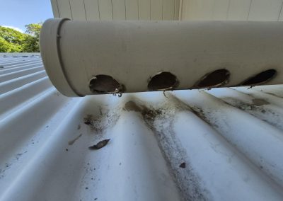 Gutter Clear – Wakehurst Crescent