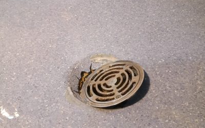 Drain securing for a Commercial Property in Tamworth