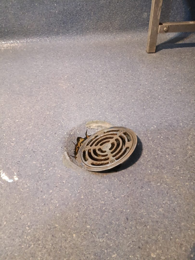 Drain securing