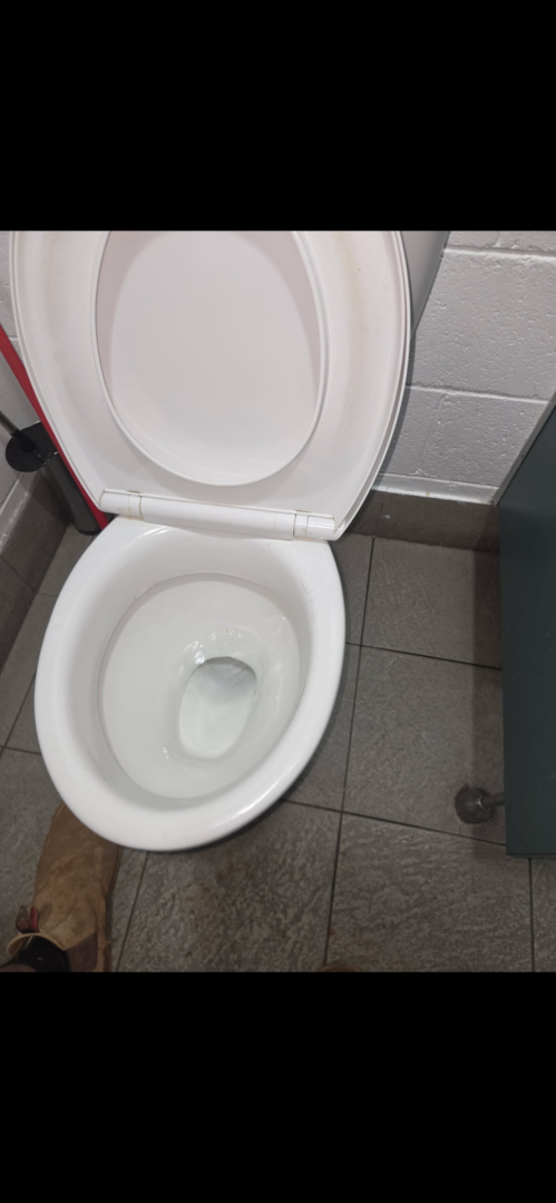 Toilet Blockage Removal