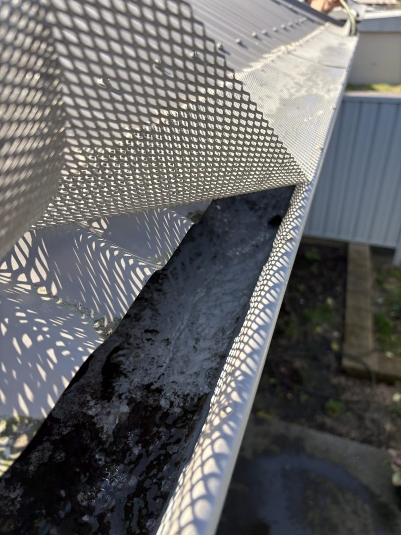 Gutter Inspection
