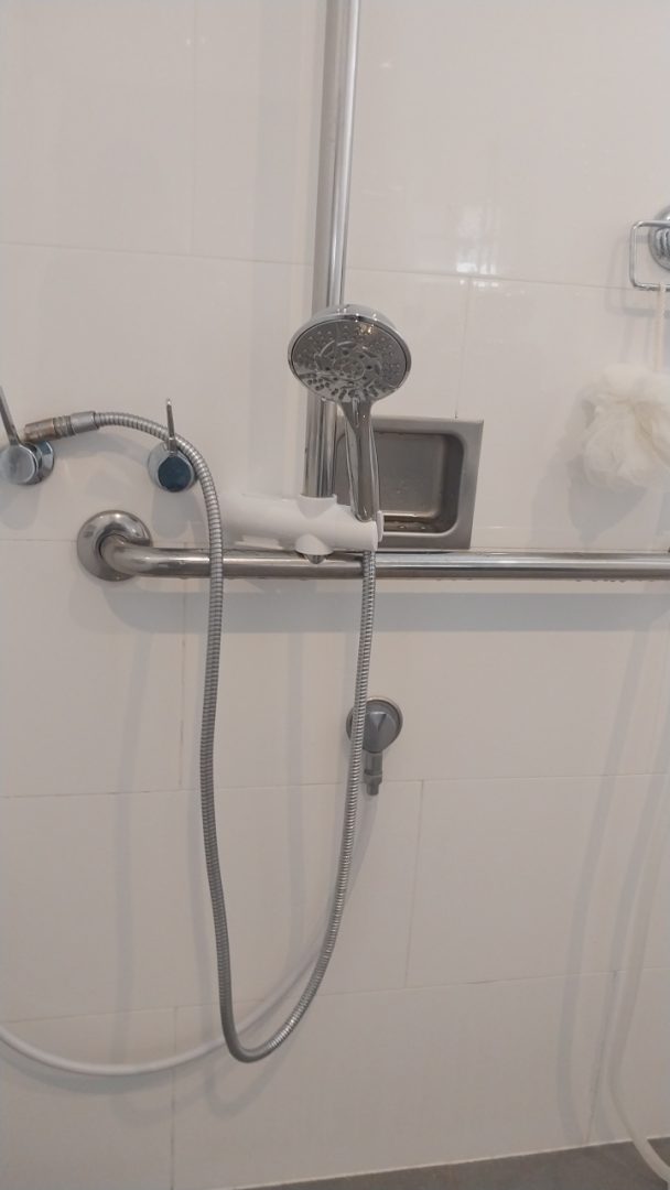 Bathroom Shower Handpiece Replacement