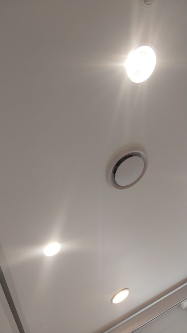 Heat Globe Replacement