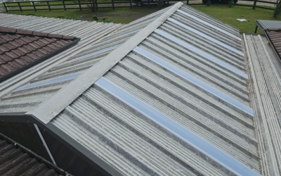 Skylight Panel Replacement for Patio in Kembla Grange