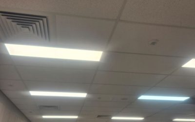 Suspended Ceiling Replacement for Commercial Property in Stafford
