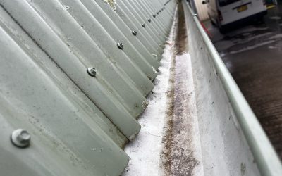 Gutter clearing for a Commercial Property in Goulburn